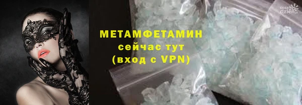 прущие грибы Богородск