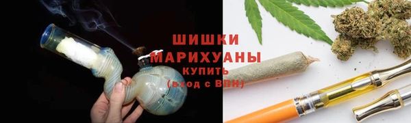 каннабис Богданович