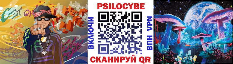 Купить где  Долинск  Галлюциногенные грибы Psilocybe 