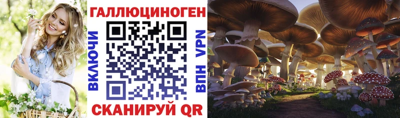 Псилоцибиновые грибы Psilocybe Долинск
